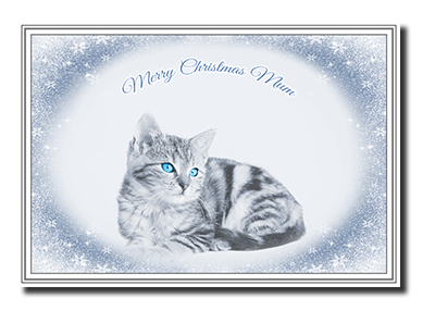 Felicitas� Family Christmas Cards by Fine Art Cards Limited.