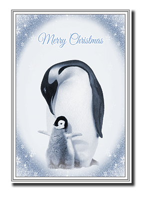 Felicitas� Christmas Greeting Cards by Fine Art Cards Limited.