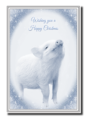Felicitas� Animal Christmas Cards by Fine Art Cards Limited.