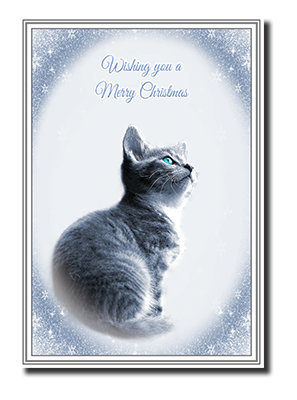 Felicitas� Cat Christmas Cards by Fine Art Cards Limited.