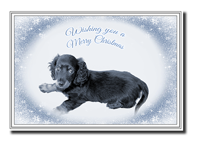 Felicitas� Dog Christmas Cards by Fine Art Cards Limited.