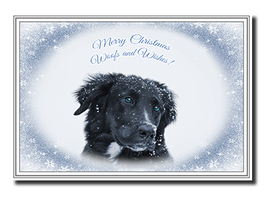 Felicitas� Dog Christmas Cards by Fine Art Cards Limited.