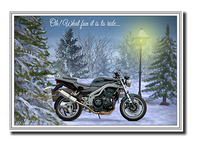 Felicitas� Christmas Greeting Cards by Fine Art Cards Limited.