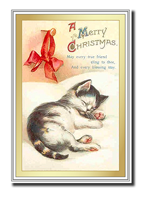 Felicitas� Cat Christmas Cards by Fine Art Cards Limited.