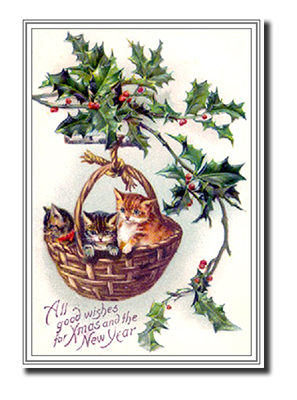Felicitas� Cat Christmas Cards by Fine Art Cards Limited.
