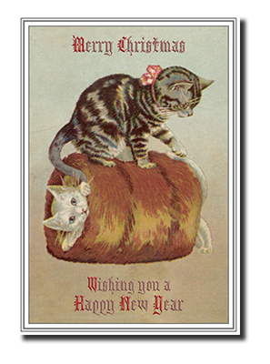 Felicitas� Cat Christmas Cards by Fine Art Cards Limited.