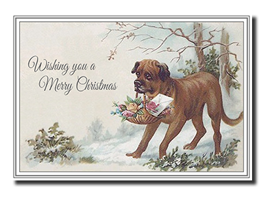 Felicitas� Dog Christmas Cards by Fine Art Cards Limited.