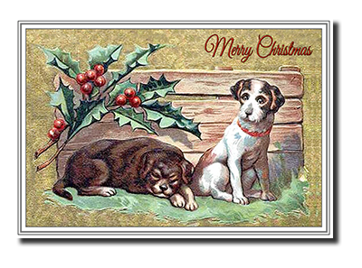 Felicitas� Dog Christmas Cards by Fine Art Cards Limited.