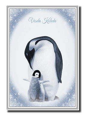 Felicitas� Anniversary Greeting Cards by Fine Art Cards Limited.